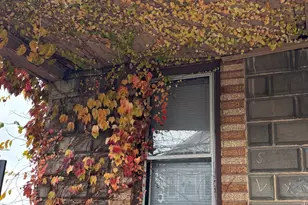 179 4th St, Bridgeport, CT 06607 - Photo 5