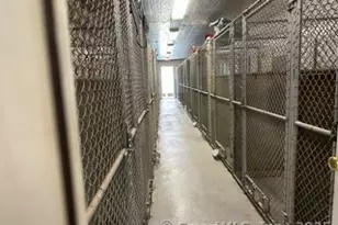 202 Crane Hollow Rd, Bethlehem, CT 06751 - Photo 33