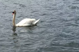 124 East St, Wolcott, CT 06716 - Photo 33