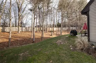 9 Hill View Ln, Woodbury, CT 06798 - Photo 31