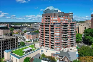 25 Forest St, Stamford, CT 06901 - Photo 33