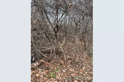 28 Tower Lane, Naugatuck, CT 06770 - Photo 3