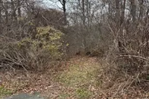 28 Tower Ln, Naugatuck, CT 06770 - Photo 1