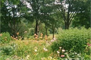 415 South St, Litchfield, CT 06759 - Photo 37