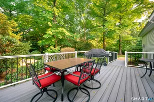 79 Chestnut Hill Rd, Glastonbury, CT 06033 - Photo 35