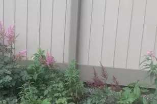 496 Heritage Vlg, Southbury, CT 06488 - Photo 5