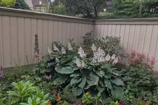 496 Heritage Vlg, Southbury, CT 06488 - Photo 5