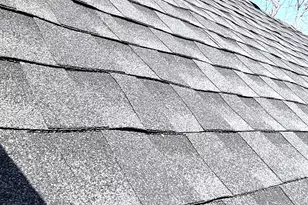 76 3rd St, New Haven, CT 06519 - Photo 15