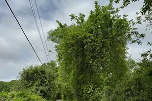 1731 Marion Rd, Cheshire, CT 06410 - Photo 25