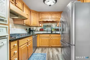 19 Tanner Crossing, Wethersfield, CT 06109 - Photo 11