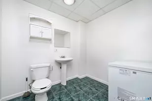 85 Wildewood Run, Bristol, CT 06010 - Photo 25