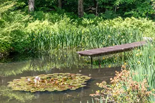 203 Brick School Rd, Warren, CT 06754 - Photo 11