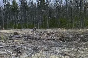 25 Matthew Ln, Windsor, CT 06095 - Photo 3