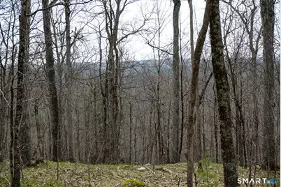 Prock Hill Road, Colebrook, CT 06021 - Photo 11