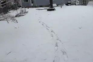 555 Frost Rd, Waterbury, CT 06705 - Photo 5