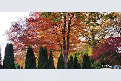 55 Merriman Road, Stamford, CT 06905 - Photo 7