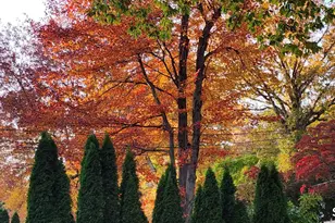 55 Merriman Rd, Stamford, CT 06905 - Photo 7