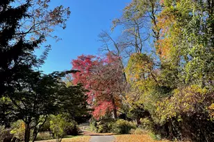 1 Beamon Meadow Pl, Old Saybrook, CT 06475 - Photo 3