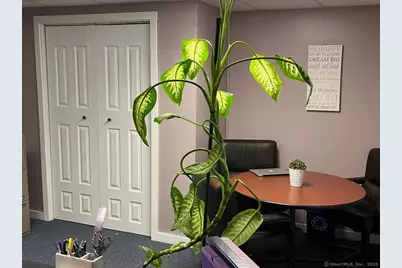 284 Merrow Road, Tolland, CT 06084 - Photo 3