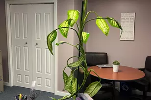 284 Merrow Rd, Tolland, CT 06084 - Photo 3