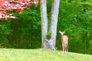 394 Killingly Ave, Putnam, CT 06260 - Photo 7