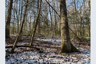 00 Hartland Boulevard, Hartland, CT 06027 - Photo 9