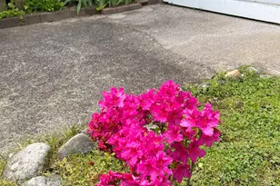 455 Dowd Ave, Canton, CT 06019 - Photo 27