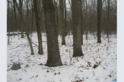 Salt Rock Road, Sprague, CT 06330 - Photo 3