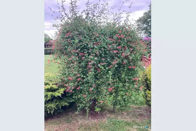 21 Glenn Lane, West Hartford, CT 06110 - Photo 29