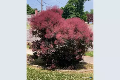 21 Glenn Lane, West Hartford, CT 06110 - Photo 31