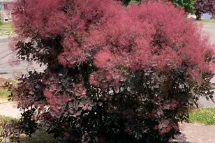 21 Glenn Ln, West Hartford, CT 06110 - Photo 31