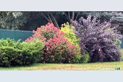 21 Glenn Lane, West Hartford, CT 06110 - Photo 27