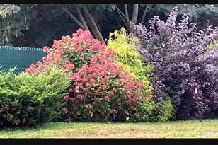 21 Glenn Ln, West Hartford, CT 06110 - Photo 27