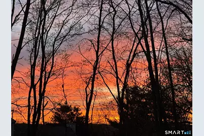 6 Stonegate Lane, Shelton, CT 06484 - Photo 35