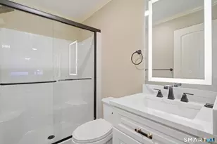 193 The Meadows, Enfield, CT 06082 - Photo 19