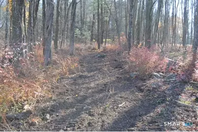 Lot 13A, Somers Turnpike, Woodstock Valley, CT 06281 - Photo 7