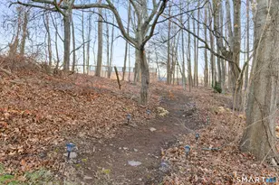 20 Sanford Ridge, East Granby, CT 06026 - Photo 39