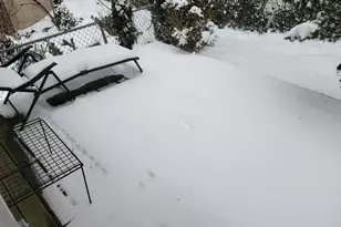 26 Lyon Ave, Greenwich, CT 06830 - Photo 7