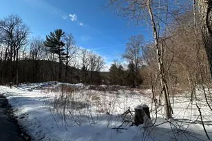 13 Meadow St, New Hartford, CT 06057 - Photo 9