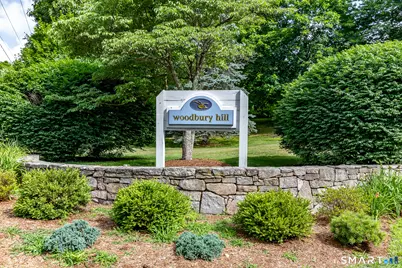 74 Woodbury Hill #74, Woodbury, CT 06798 - Photo 23