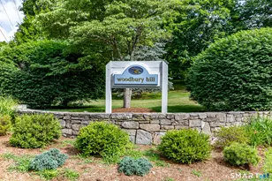 74 Woodbury Hl, Woodbury, CT 06798 - Photo 23