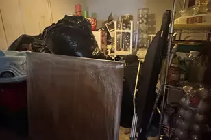 1730 Quinnipiac Ave, New Haven, CT 06513 - Photo 11