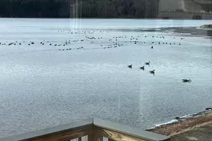 71 Ellington Rd, Tolland, CT 06084 - Photo 7