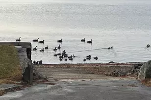 71 Ellington Rd, Tolland, CT 06084 - Photo 5