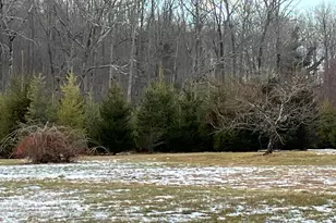 441 Stickney Hill Rd, Union, CT 06076 - Photo 5