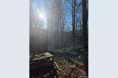 184 Campville Hill Road, Harwinton, CT 06791 - Photo 11