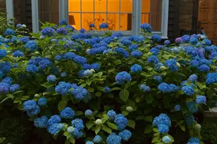 65 Main St, Essex, CT 06442 - Photo 33