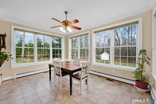 36 Ellridge Pl, Ellington, CT 06029 - Photo 17