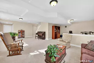 36 Ellridge Pl, Ellington, CT 06029 - Photo 39