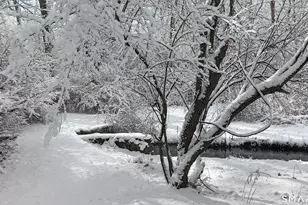 414 Canterbury Rd, Brooklyn, CT 06234 - Photo 37